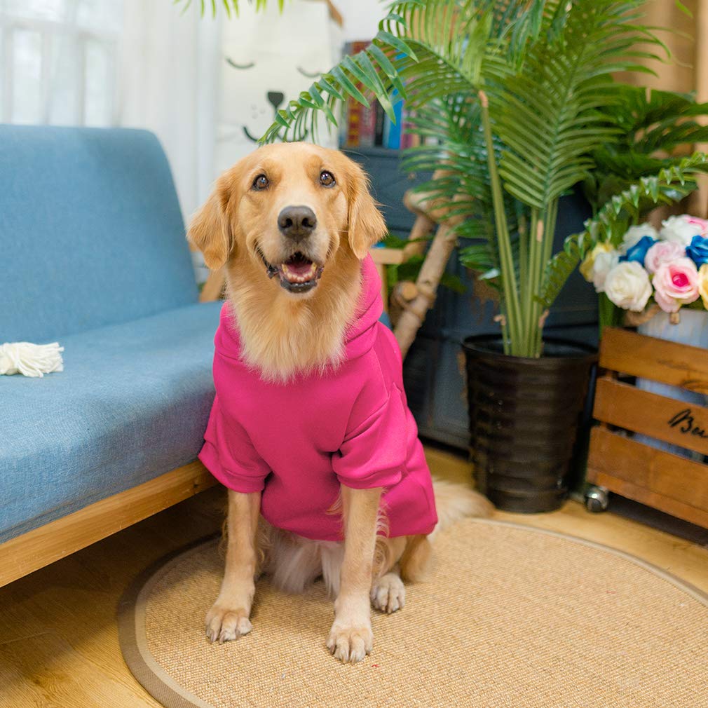 KOOLTAIL ofrece sensación suave y cálida al vestir a tu mascota.
