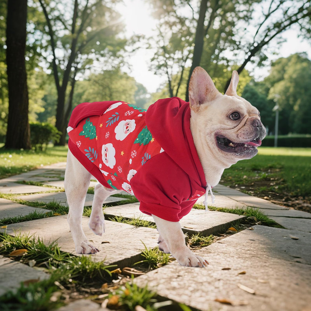 KOOLTAIL sudadera perro navidad borde con detalles, añade estilo diario.