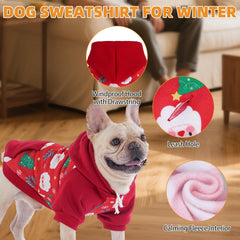 KOOLTAIL nuevo diseño: patrón hojas otoño, ideal para salidas diarias con estilo.