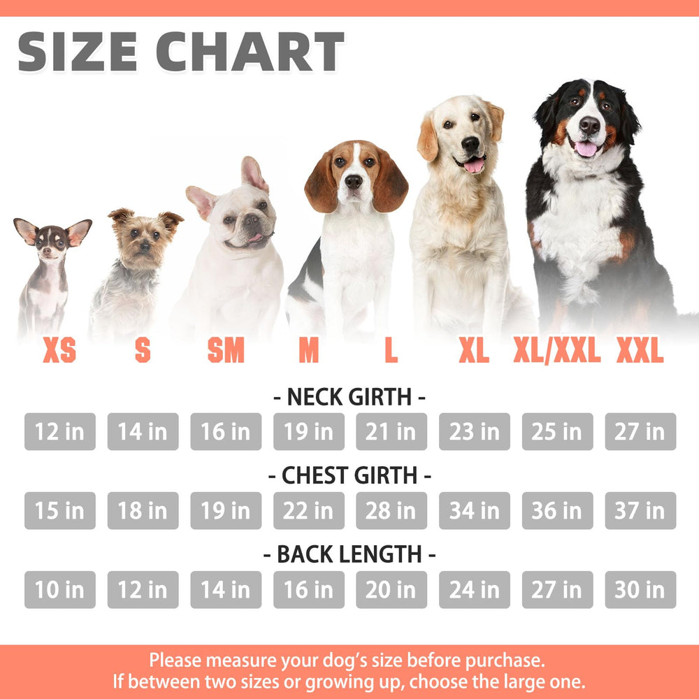 KOOLTAIL sudadera para perro otoñal espalda destaca estilo y calidez