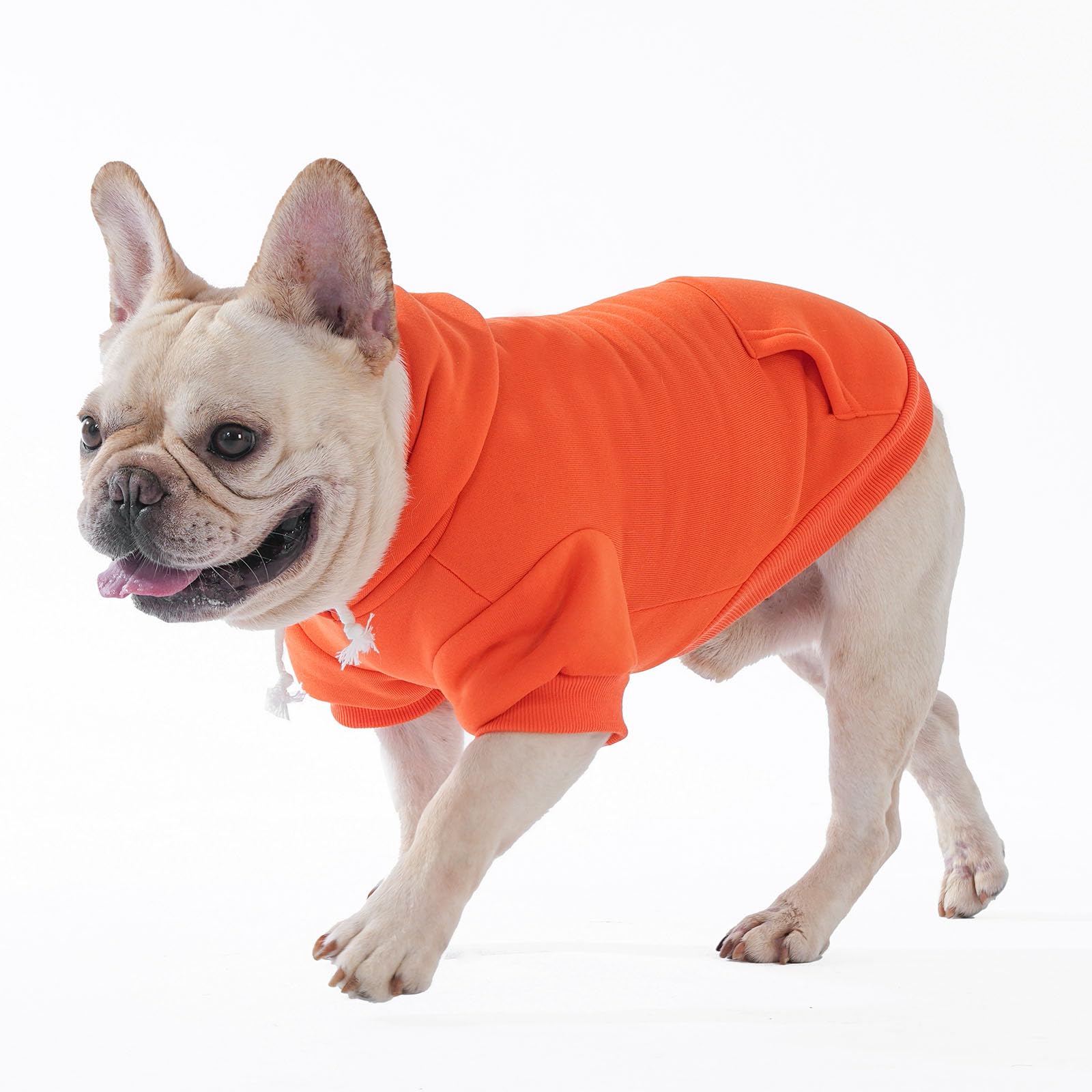 KOOLTAIL sudadera para perro otoñal lavable a máquina facilita mantenimiento