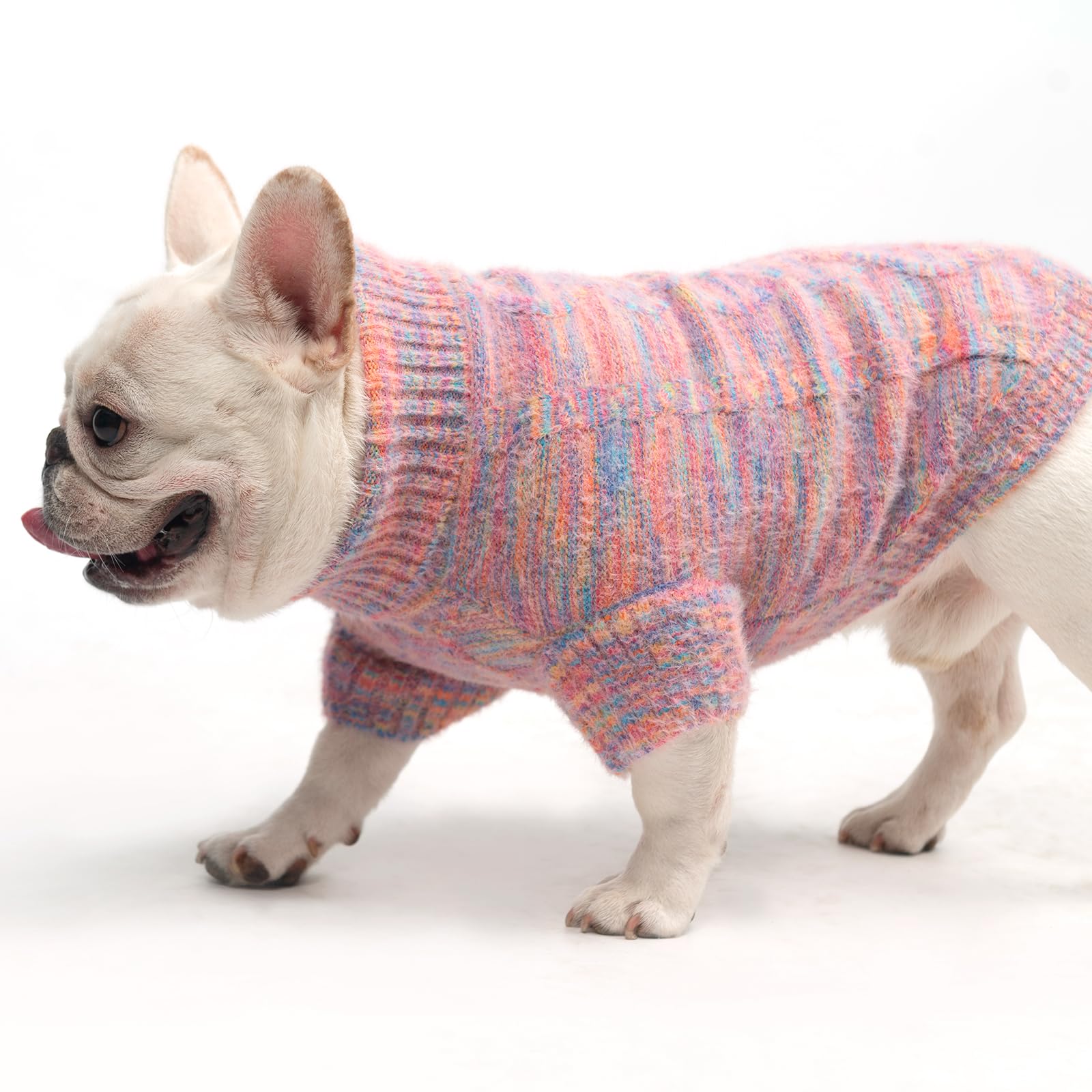 KOOLTAIL sudadera para perro, perfecta para ocasiones y estilo festivo.