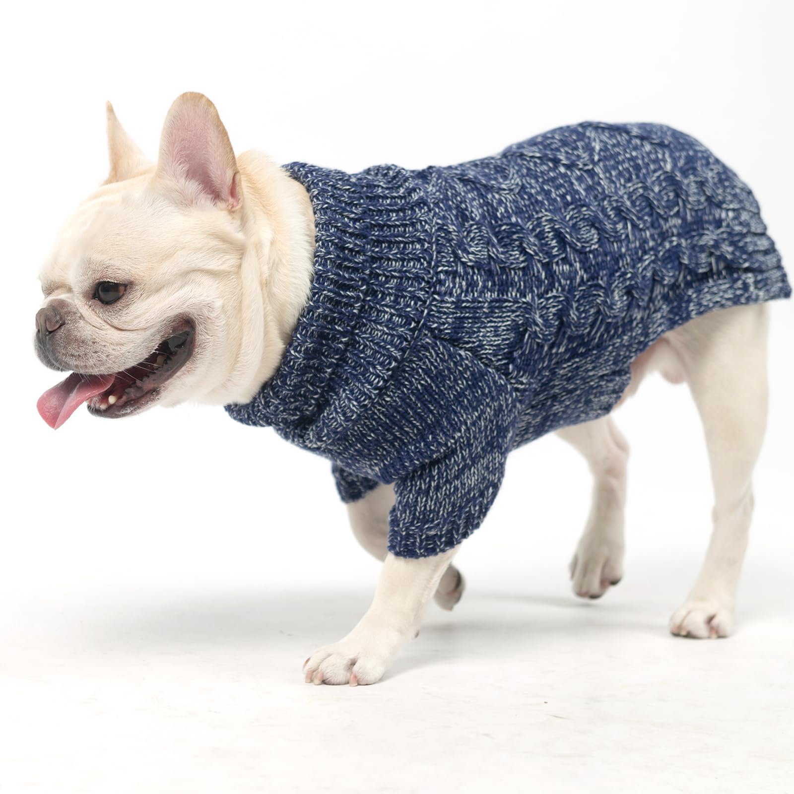 KOOLTAIL prenda de uso diario, ideal para paseos.