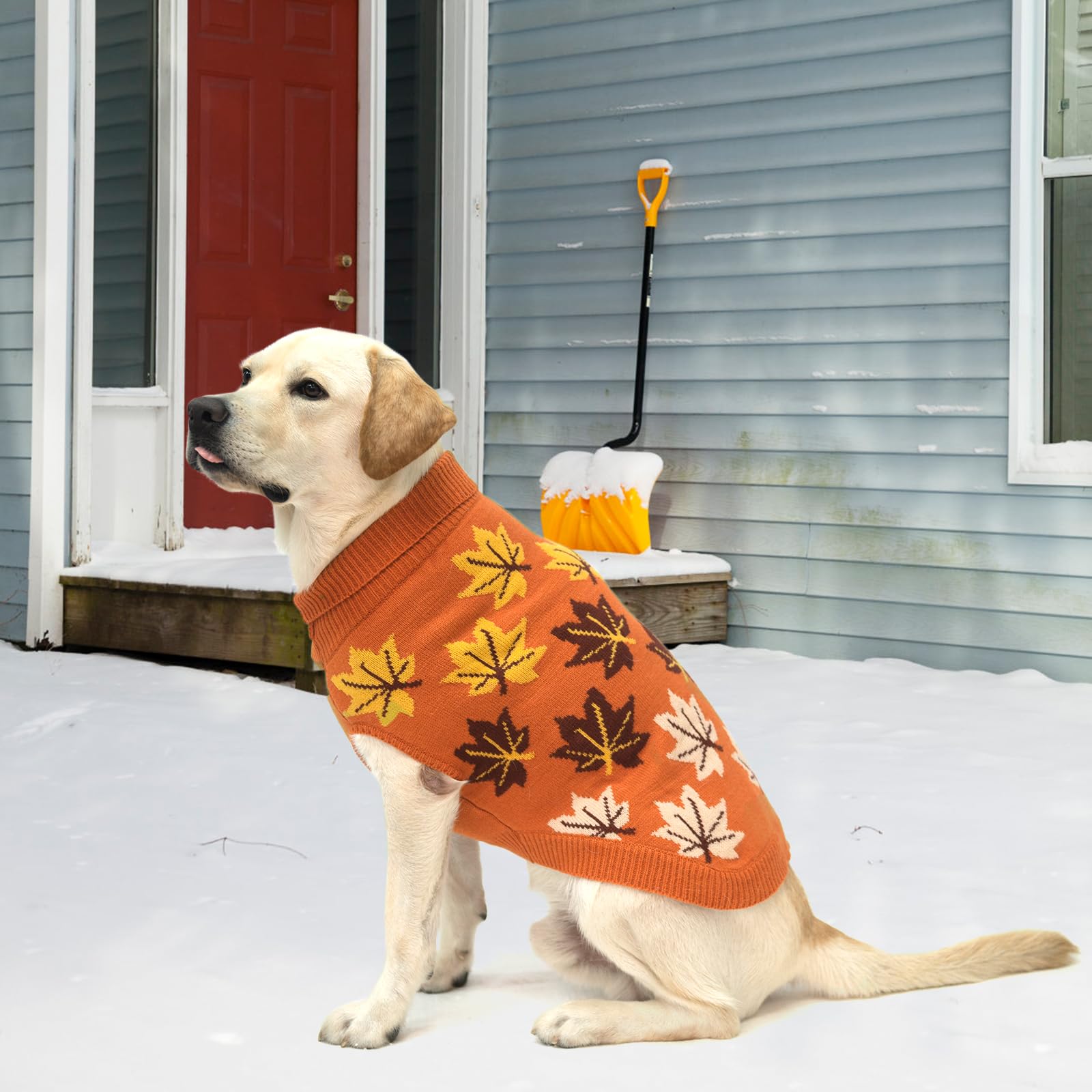KOOLTAIL sudadera versátil para uso diario, interior y exterior.