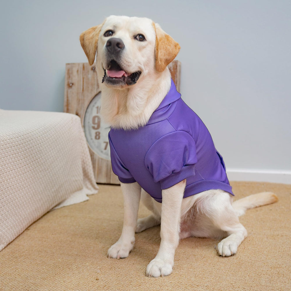 KOOLTAIL sudadera para perro uso diario al aire libre, cálida y duradera.