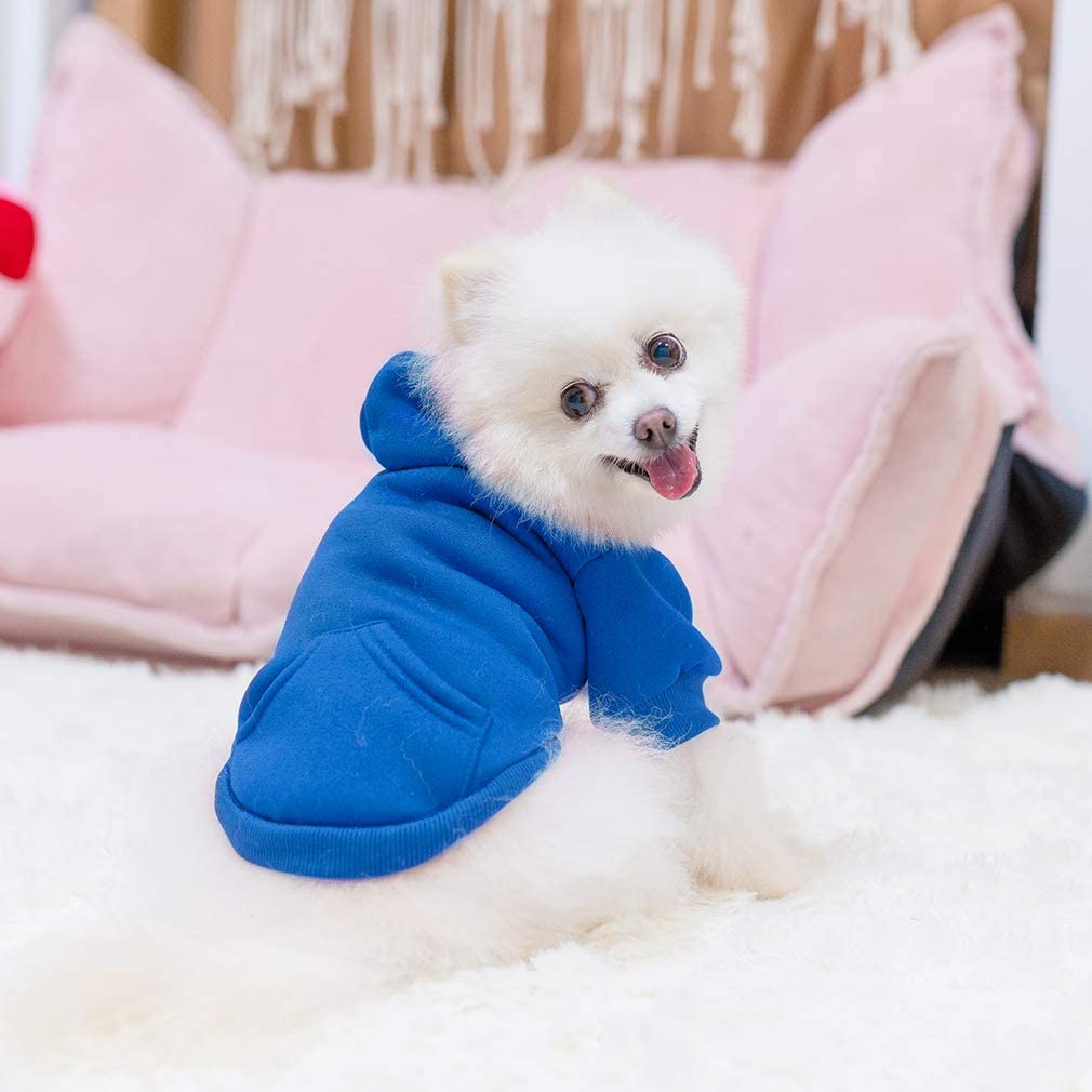 KOOLTAIL sudadera para uso en fiestas y sesiones de fotos, elegante y práctico.