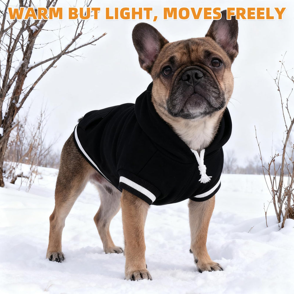 KOOLTAIL sudadera para perro en invierno, uso en clima frío