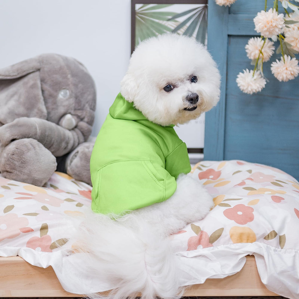 KOOLTAIL sudadera verde para perros, estilo visible y práctico.