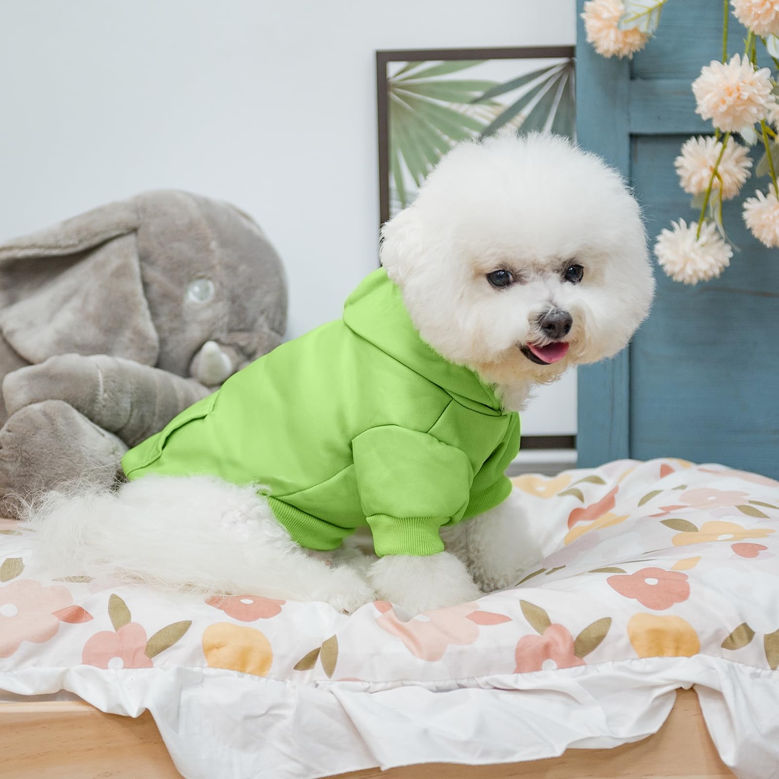 KOOLTAIL sudadera en varias tallas para perros de todos los tamaños.