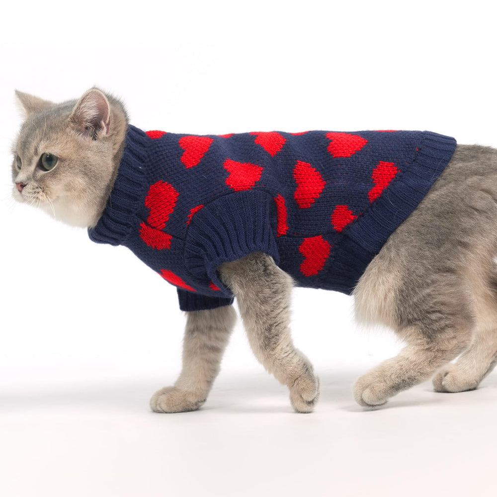 KOOLTAIL suéter gato para ocasiones especiales y sesiones de fotos.