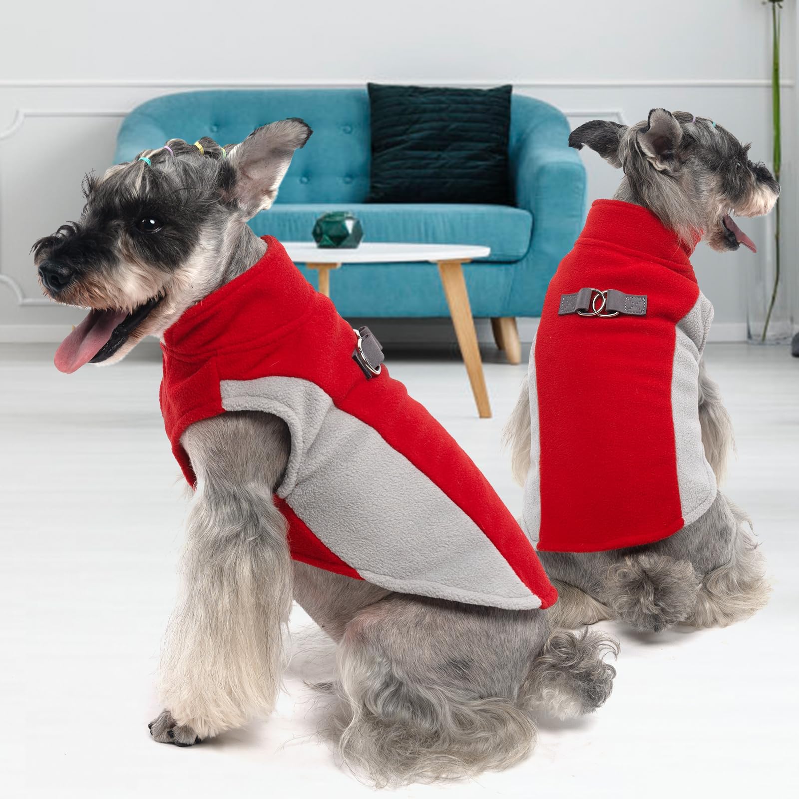 KOOLTAIL guía de tallas, ajuste seguro para mascotas.