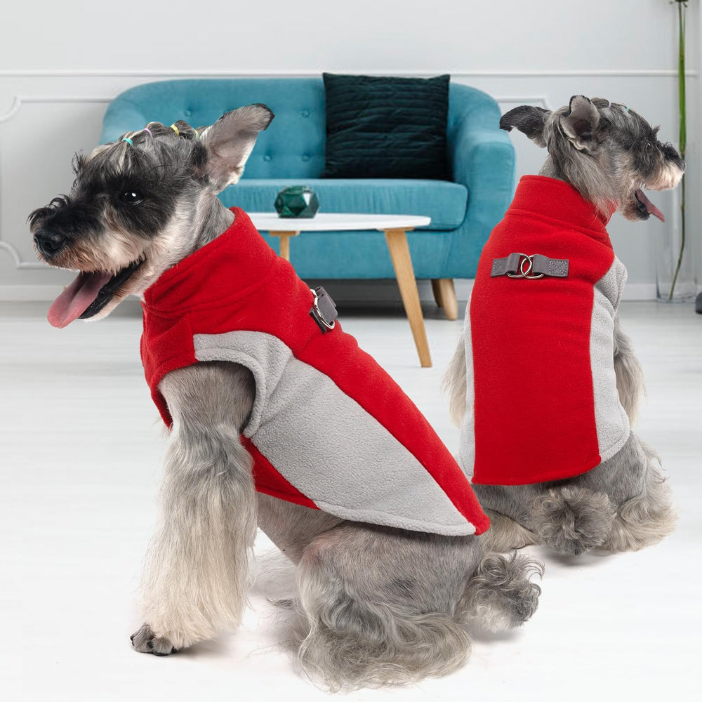 KOOLTAIL guía de tallas, ajuste seguro para mascotas.