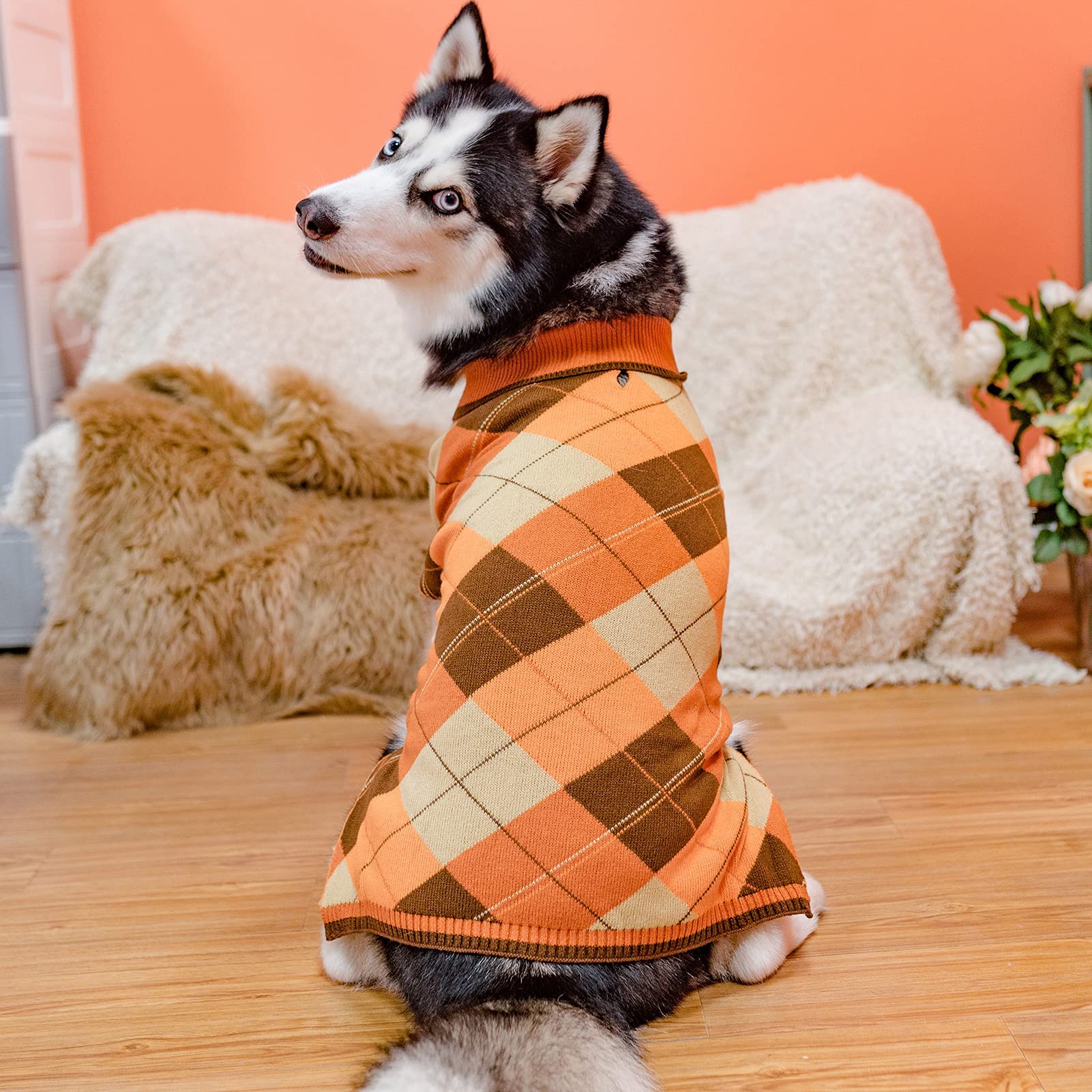KOOLTAIL suéter perro con tallas 6, ajuste seguro y cómodo