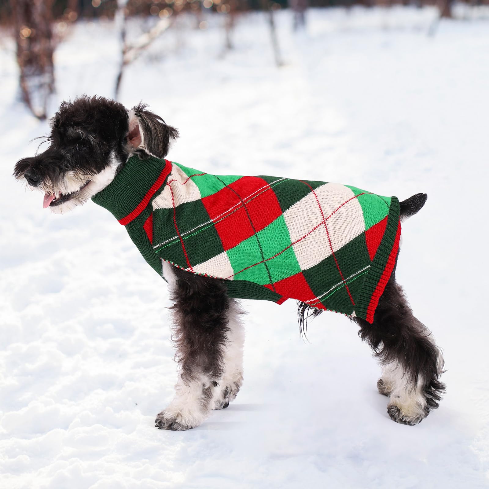 KOOLTAIL suéter perro regalo invernal: detalle cálido para la temporada