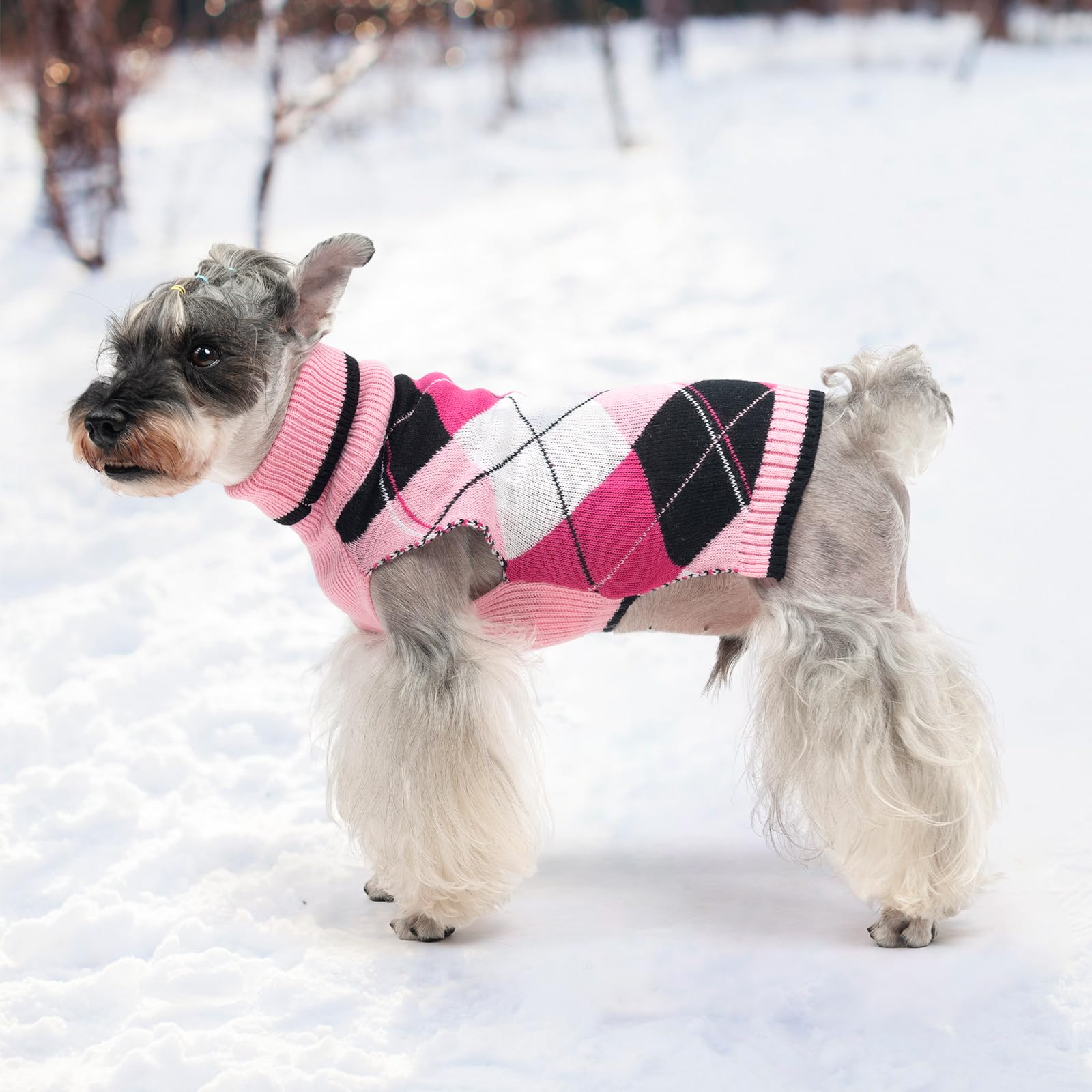 KOOLTAIL suéter Valentine regalo perfecto para perro en invierno.