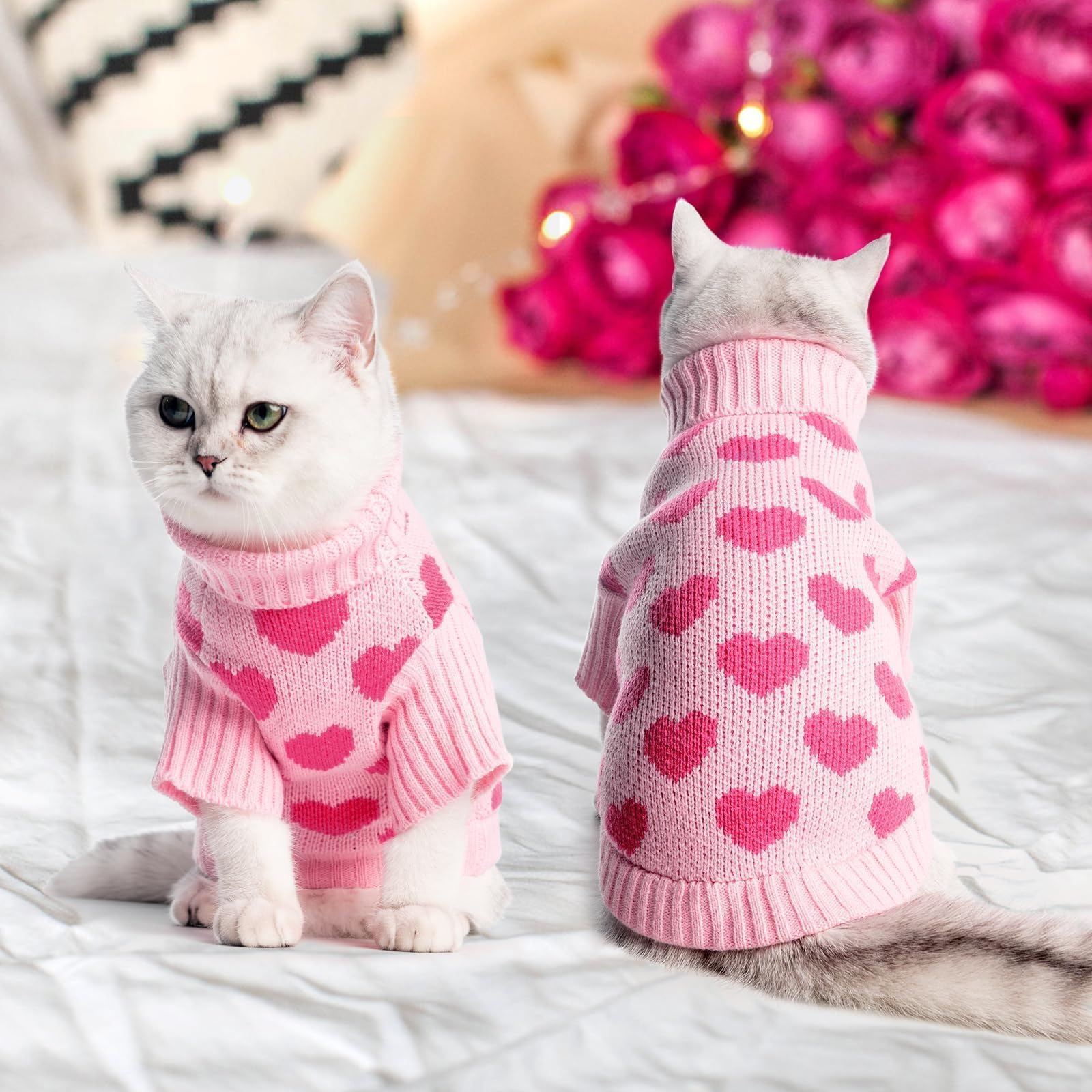 KOOLTAIL suéter gato invierno rosa, uso diario recomendado.