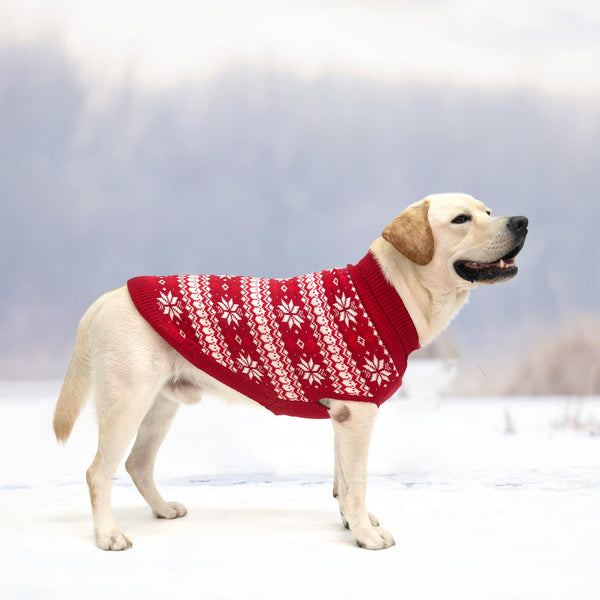 KOOLTAIL regalo navideño perfecto para perros de todos los tamaños.
