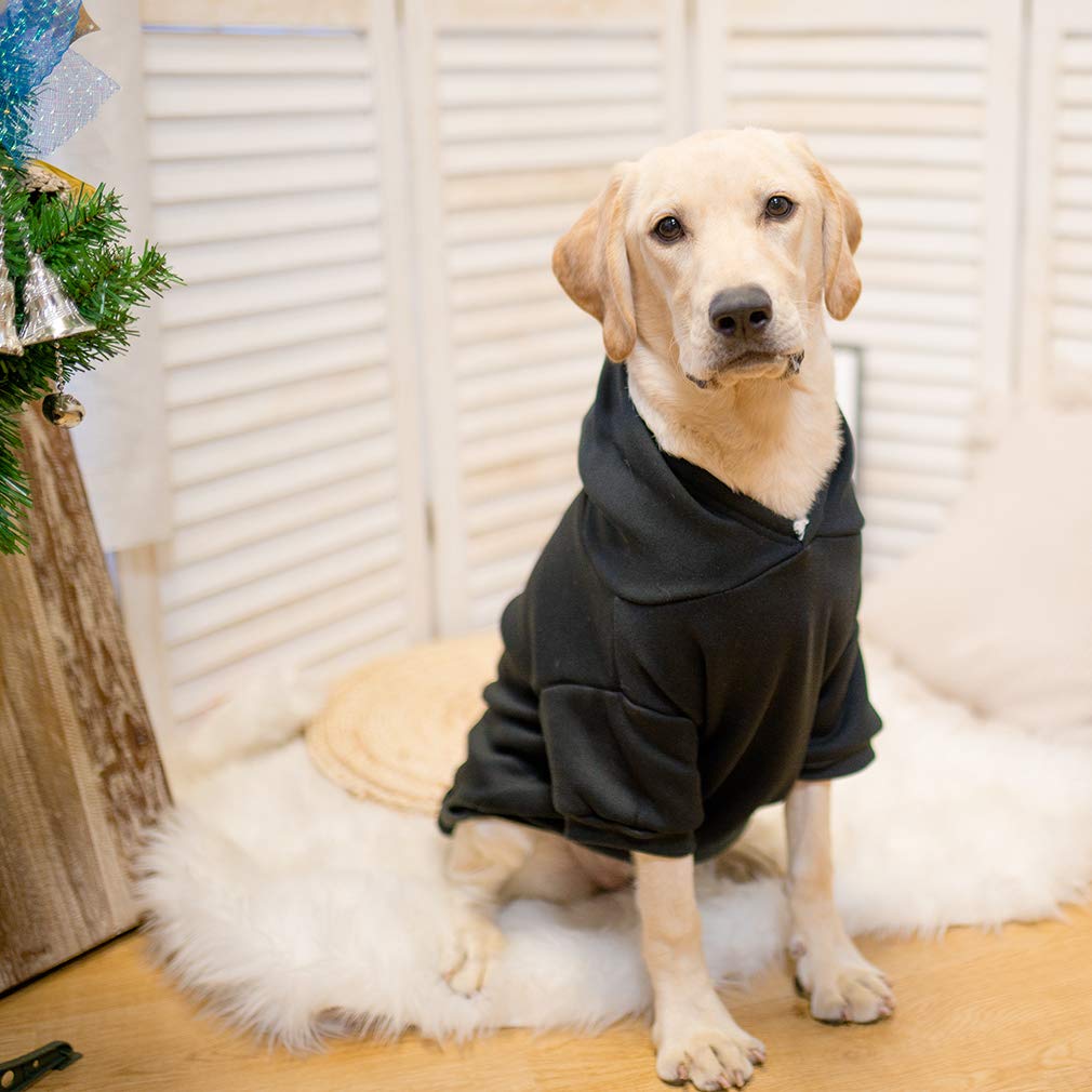 KOOLTAIL talla L, ajuste cómodo para perros grandes y caminatas.