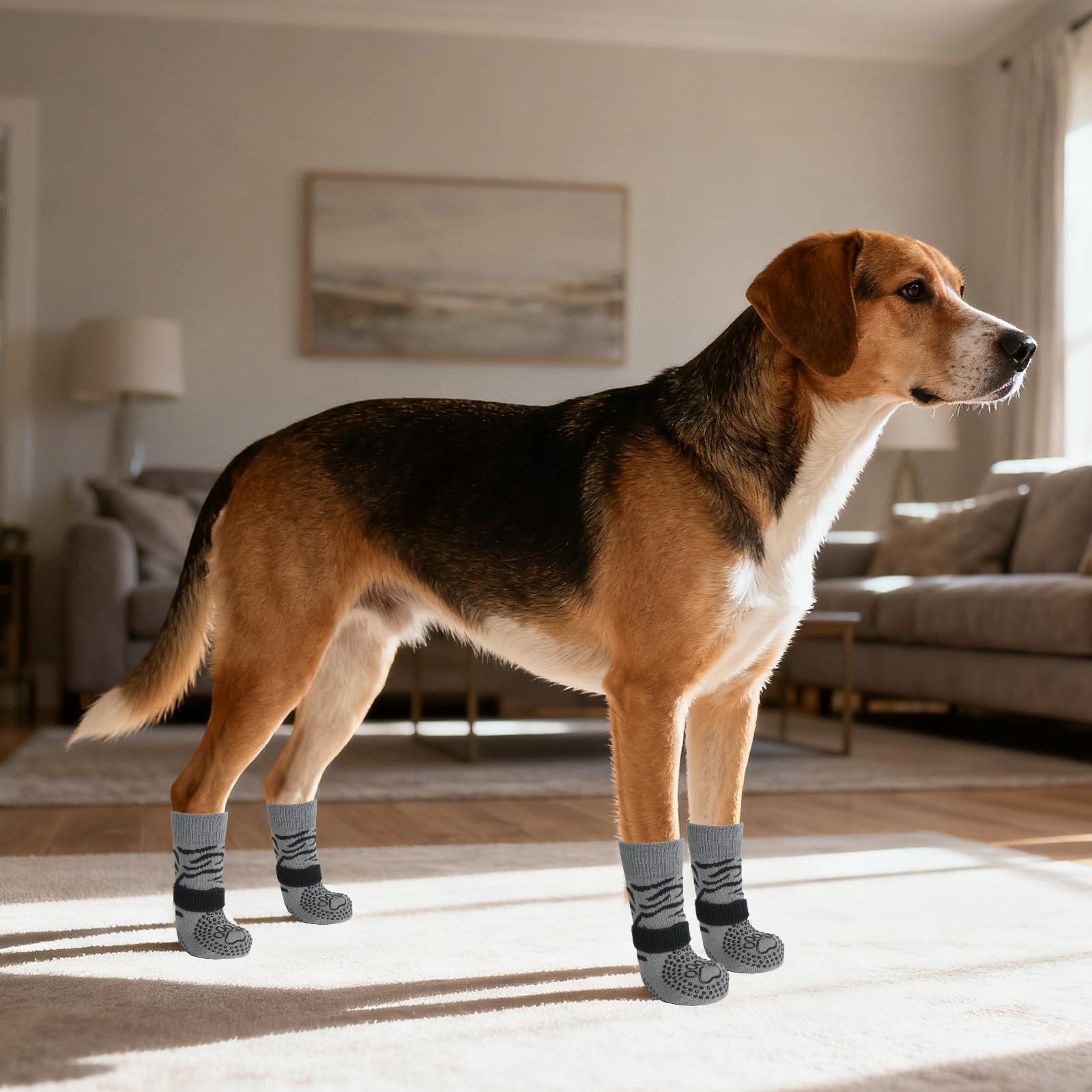 KOOLTAIL talla S, medidas recomendadas para un ajuste cómodo