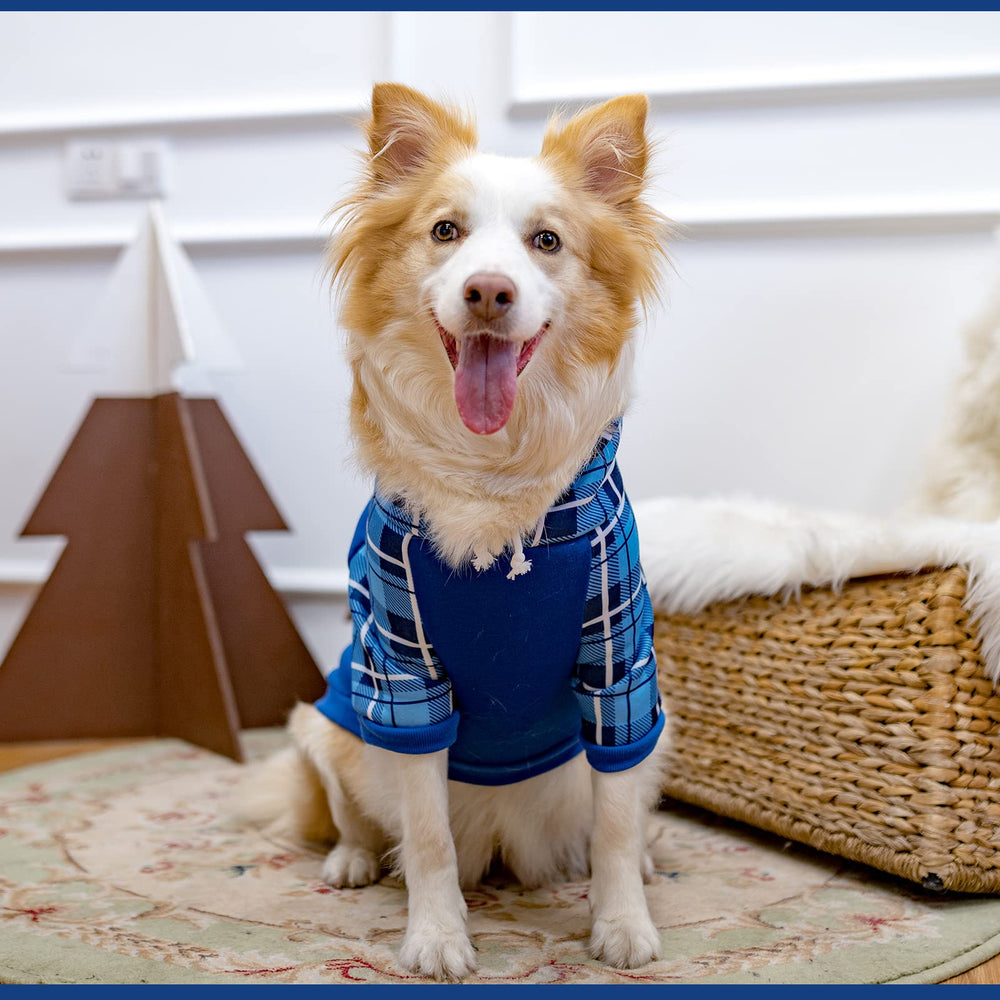 KOOLTAIL diferentes tallas para un ajuste cómodo en perros