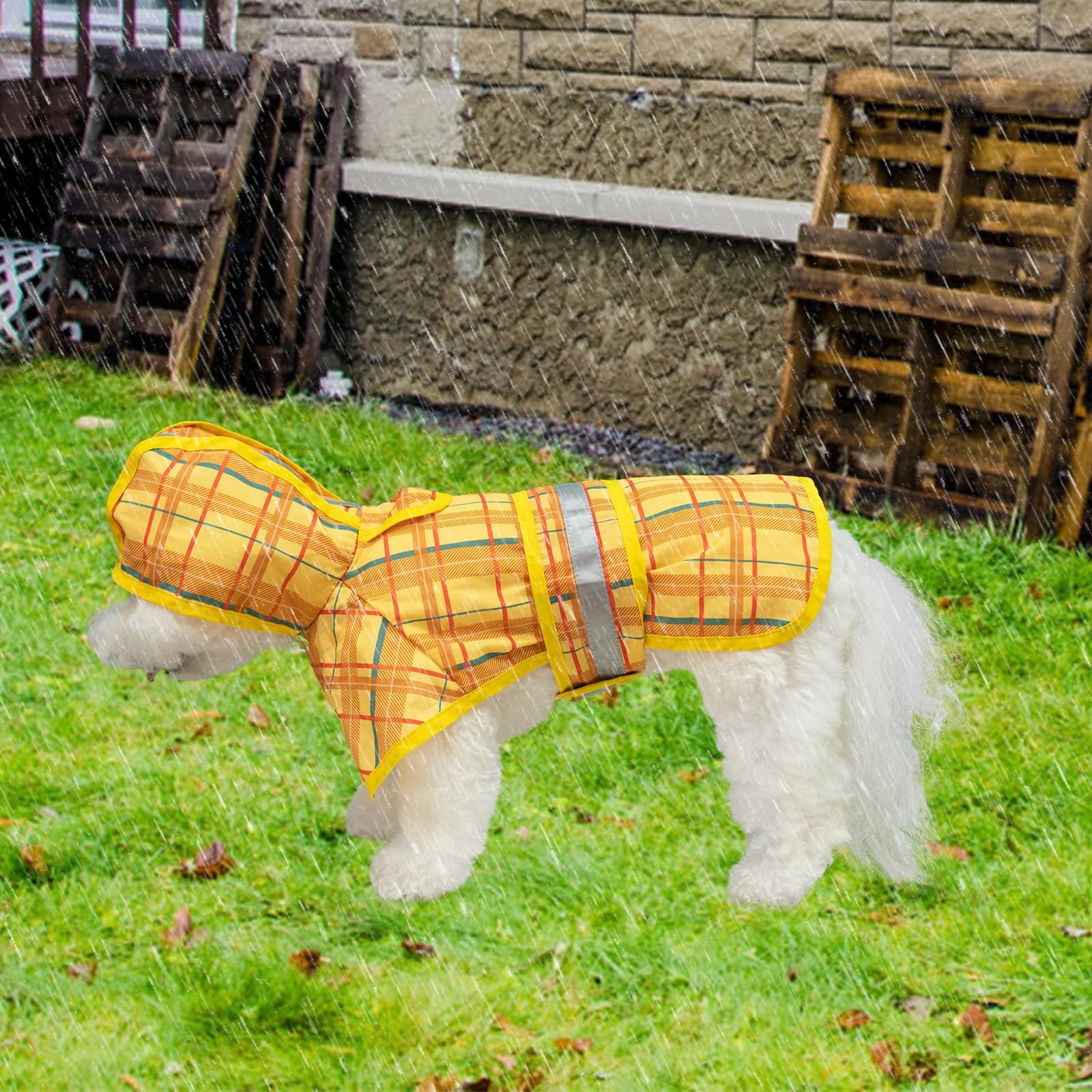 KOOLTAIL variedad de colores y estampados para perros
