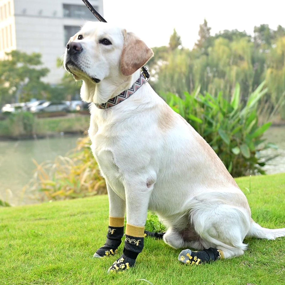 KOOLTAIL zapatillas para perro para pisos de madera y evitar arañazos