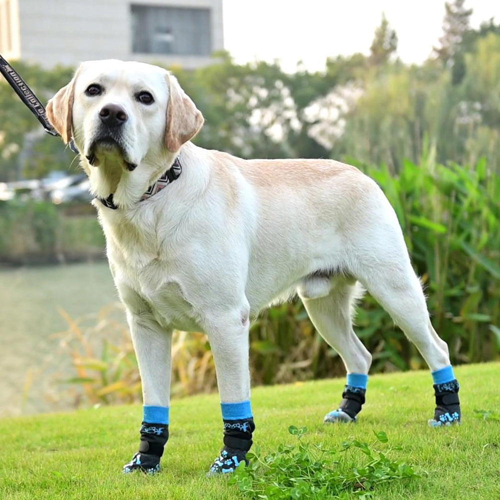 Protección de patas KOOLTAIL para evitar arañazos en muebles.
