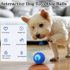 KoovDem bola para perro con luz LED facilita juego seguro en interiores.