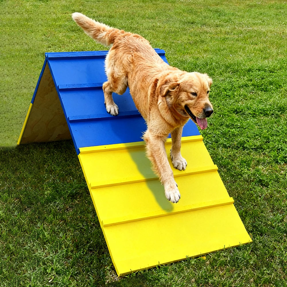 koretech marco de agilidad para perros, capacidad de 120 libras para razas grandes.