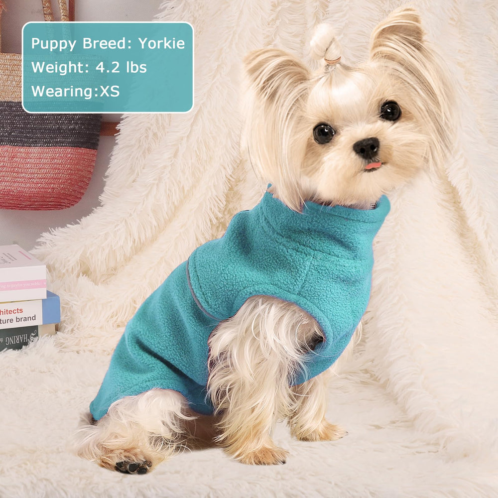 Kosiyi chaleco para perro pequeño, vista trasera y ajuste práctico.