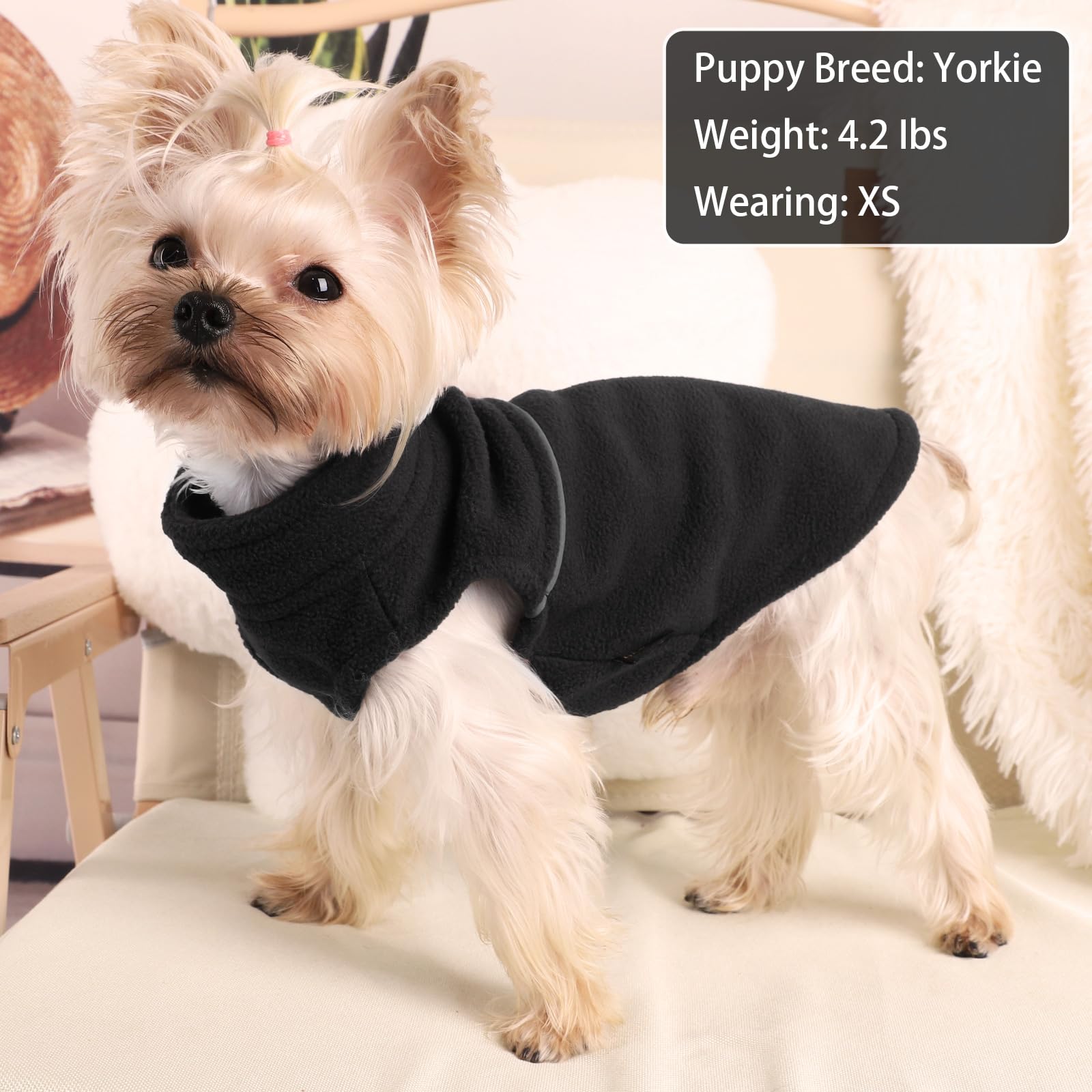 Kosiyi chaqueta franela para perro pequeño, detalle cuello, mantiene el cuello caliente.