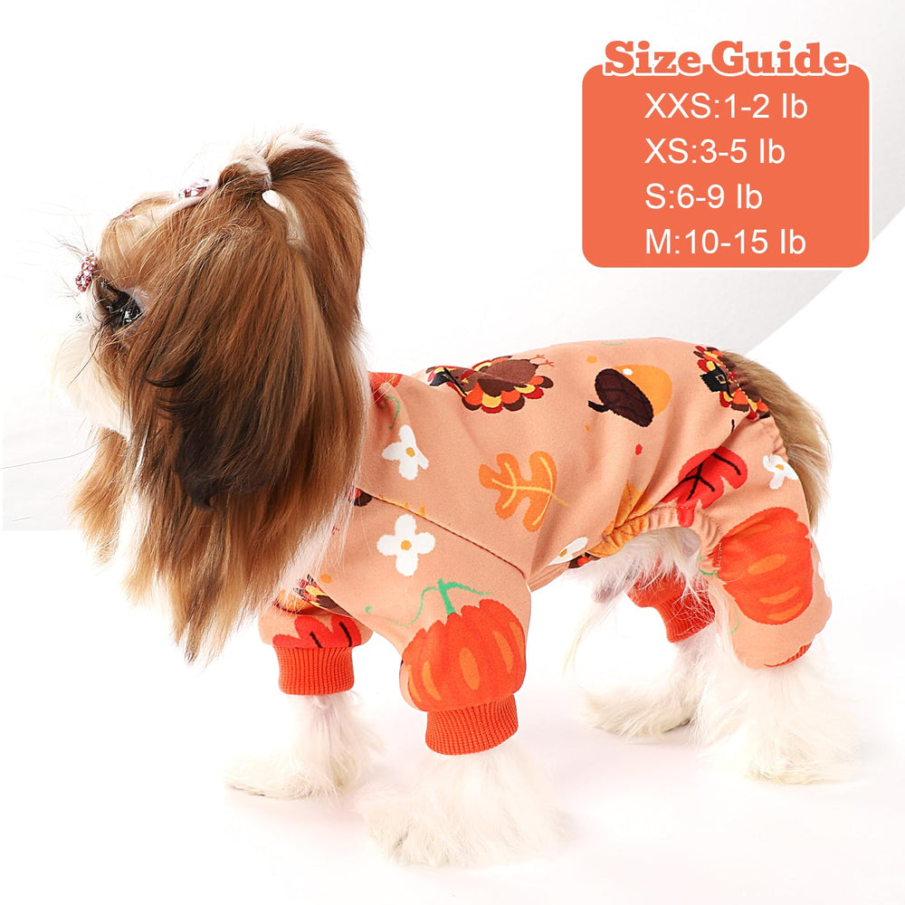 Kosiyi conjunto para perro de temporada festiva, ideal para celebrar en otoño.