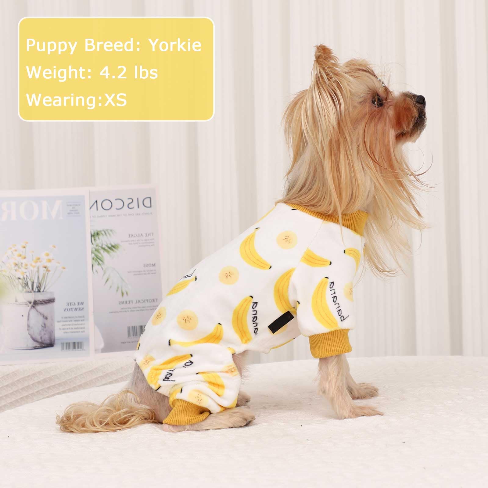 Kosiyi Pijama para Perro, modelo en uso con prenda cómoda.