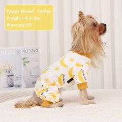 Kosiyi Pijama para Perro, modelo en uso con prenda cómoda.