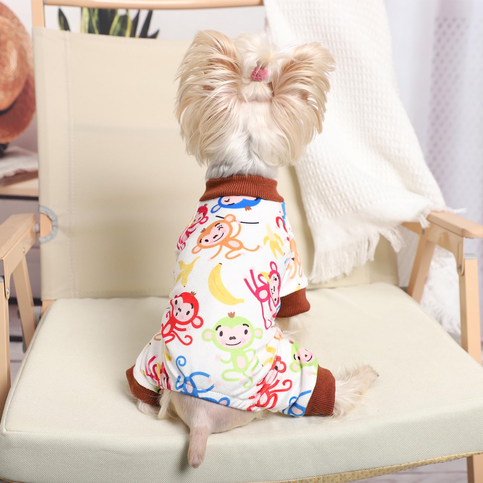 Kosiyi onesie para Shih Tzu, cubre piel sensible y evita lamidos