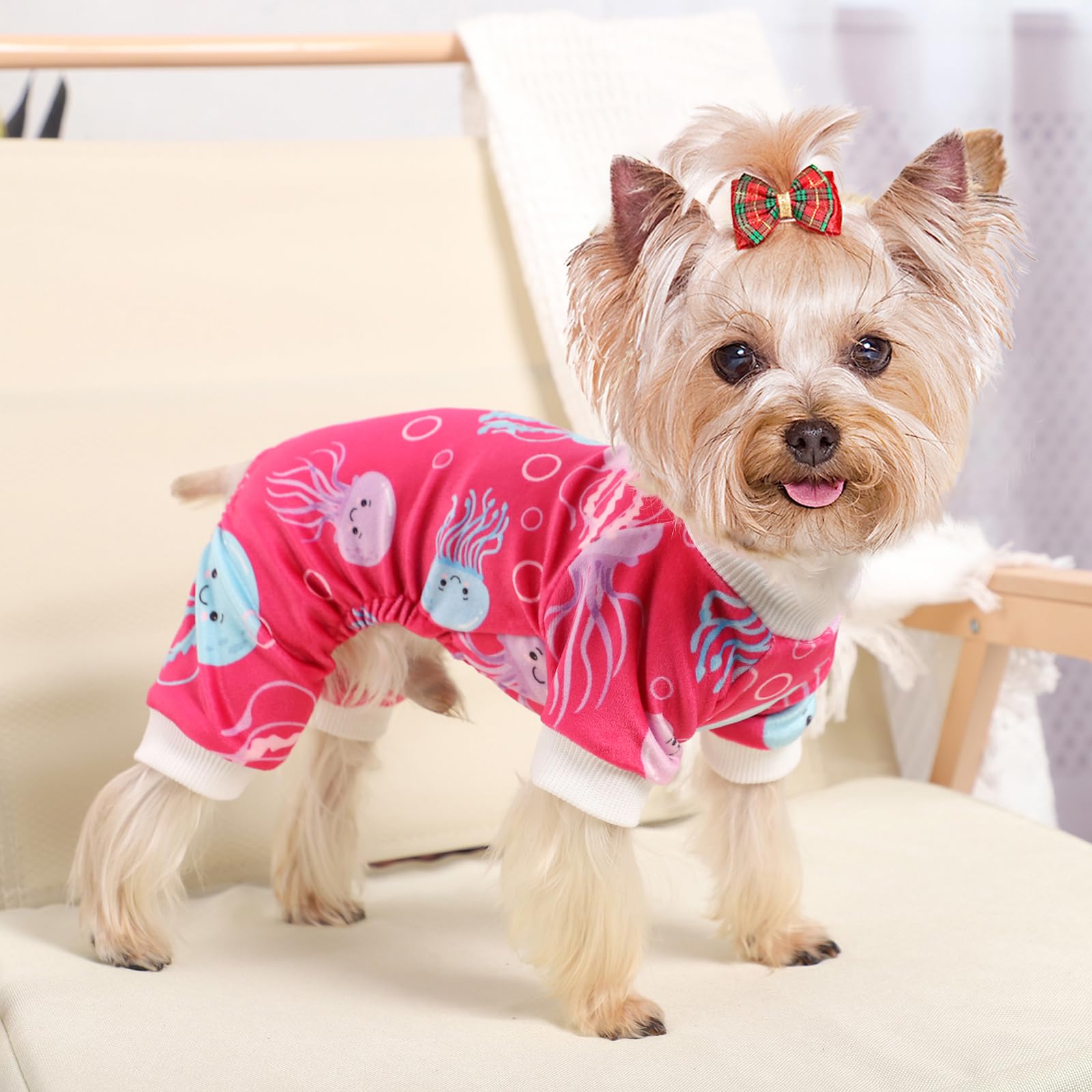 Kosiyi pijama perro pequeño, look adorable para fotos y momentos en casa.