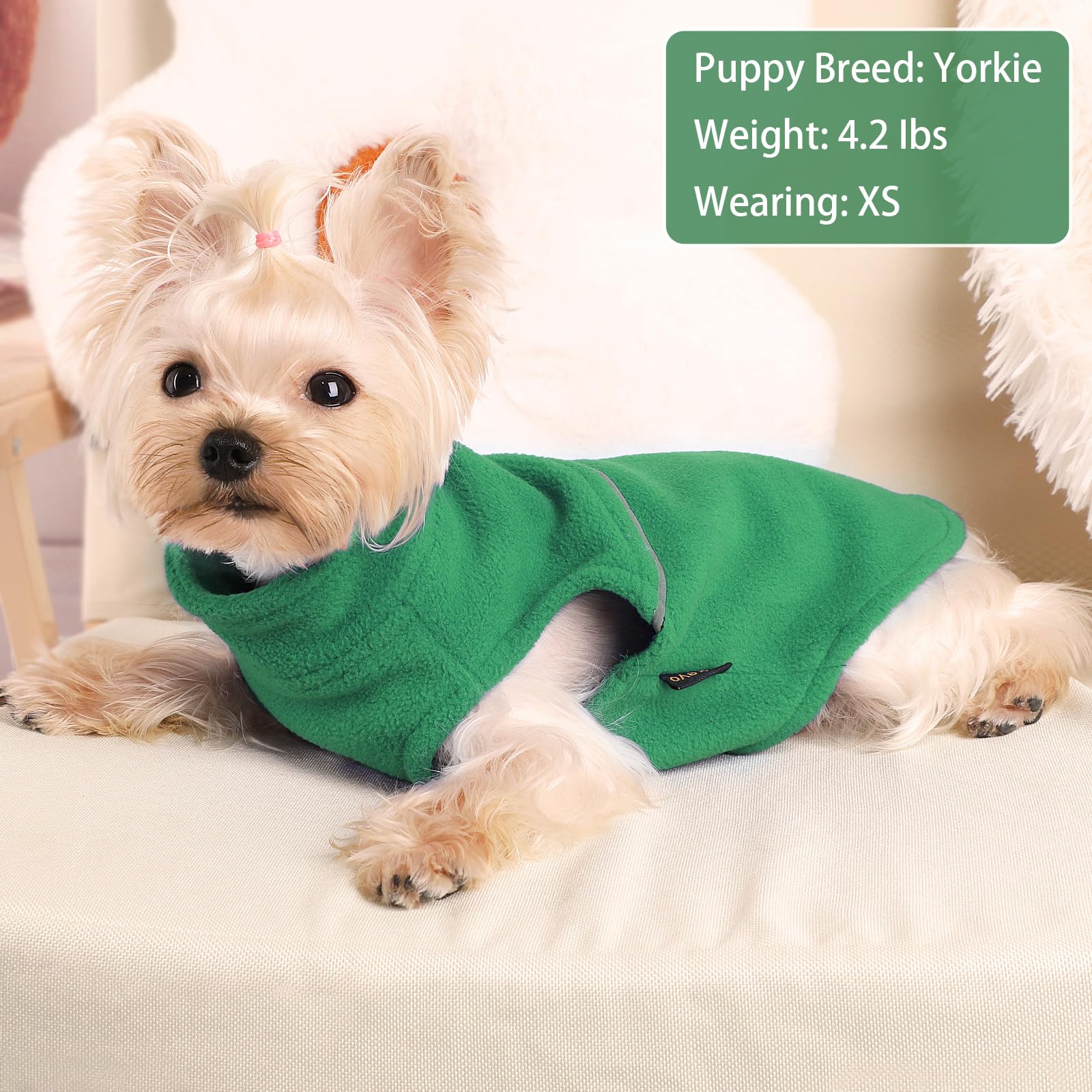 Kosiyi ropa para perros pequeños lavable a máquina y secado rápido para uso diario.
