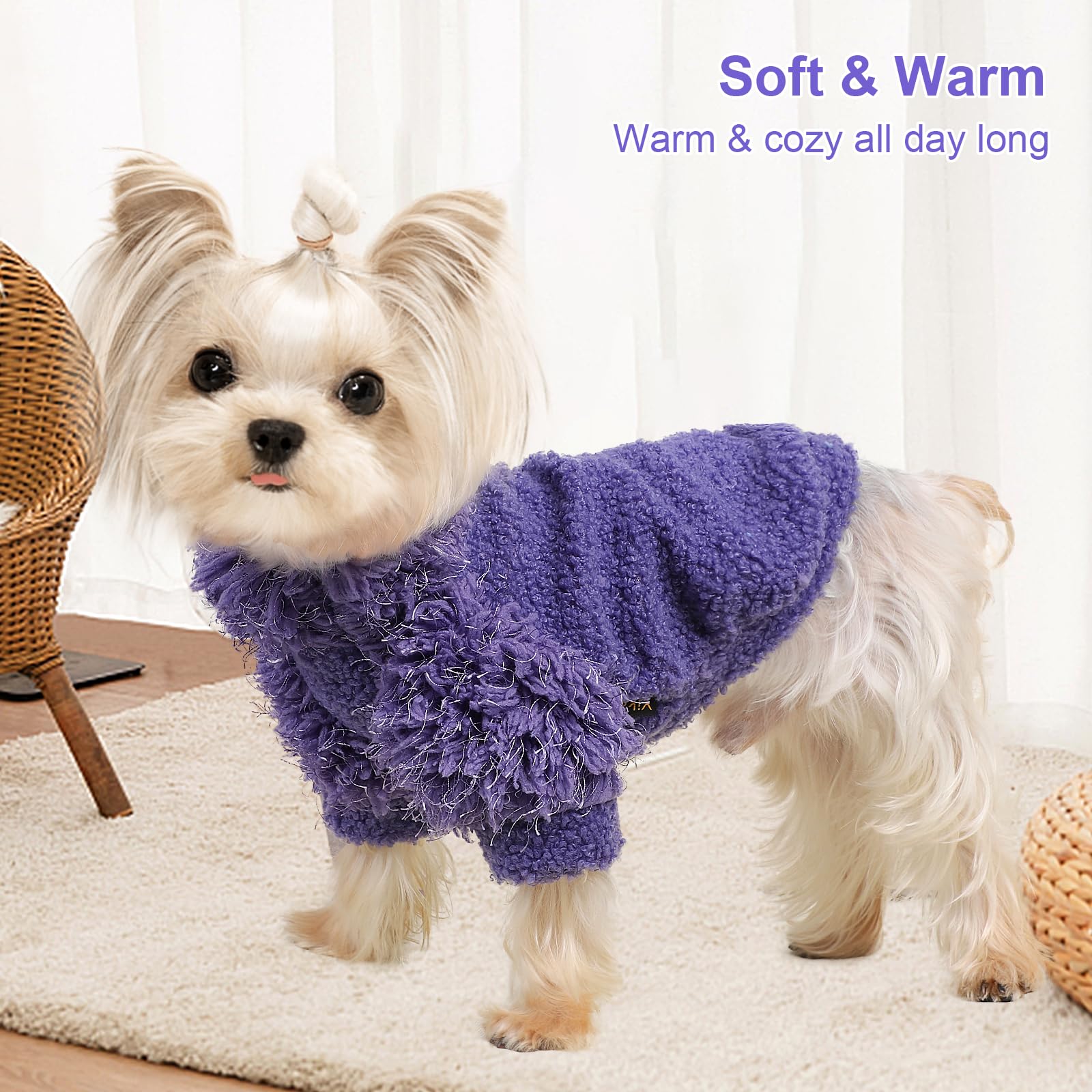 Kosiyi sueter perro pequeno diseño divertido, encanto en salidas