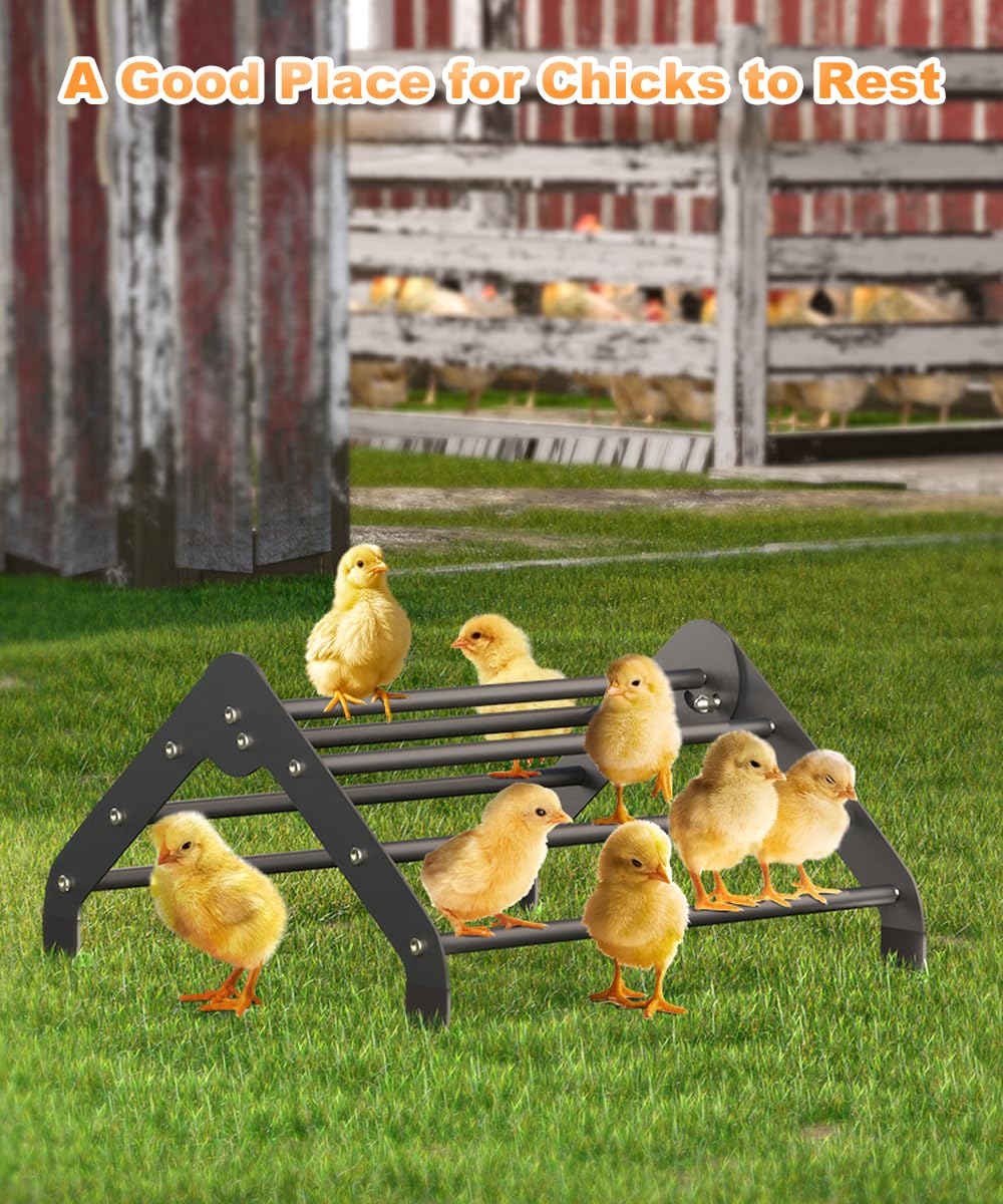 Uso multi-aves de la percha Koutemie, apta para loros y aves de tamaño similar.