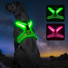 Kpuplol arnés luz para perro con indicador de batería para paseos nocturnos seguros