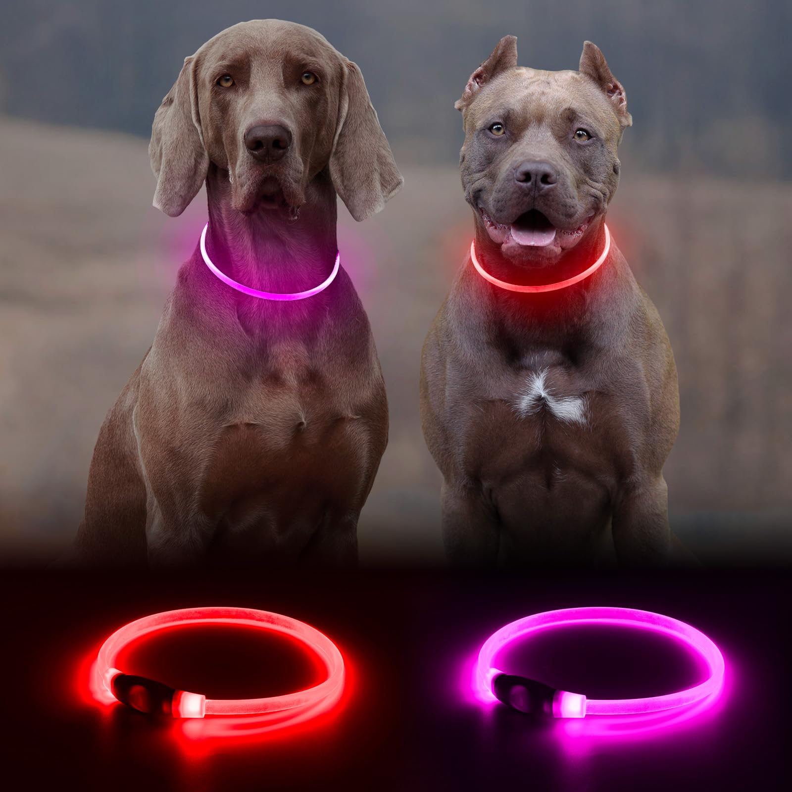 Kpuplol collar LED, recargable por puerto USB para uso rápido.