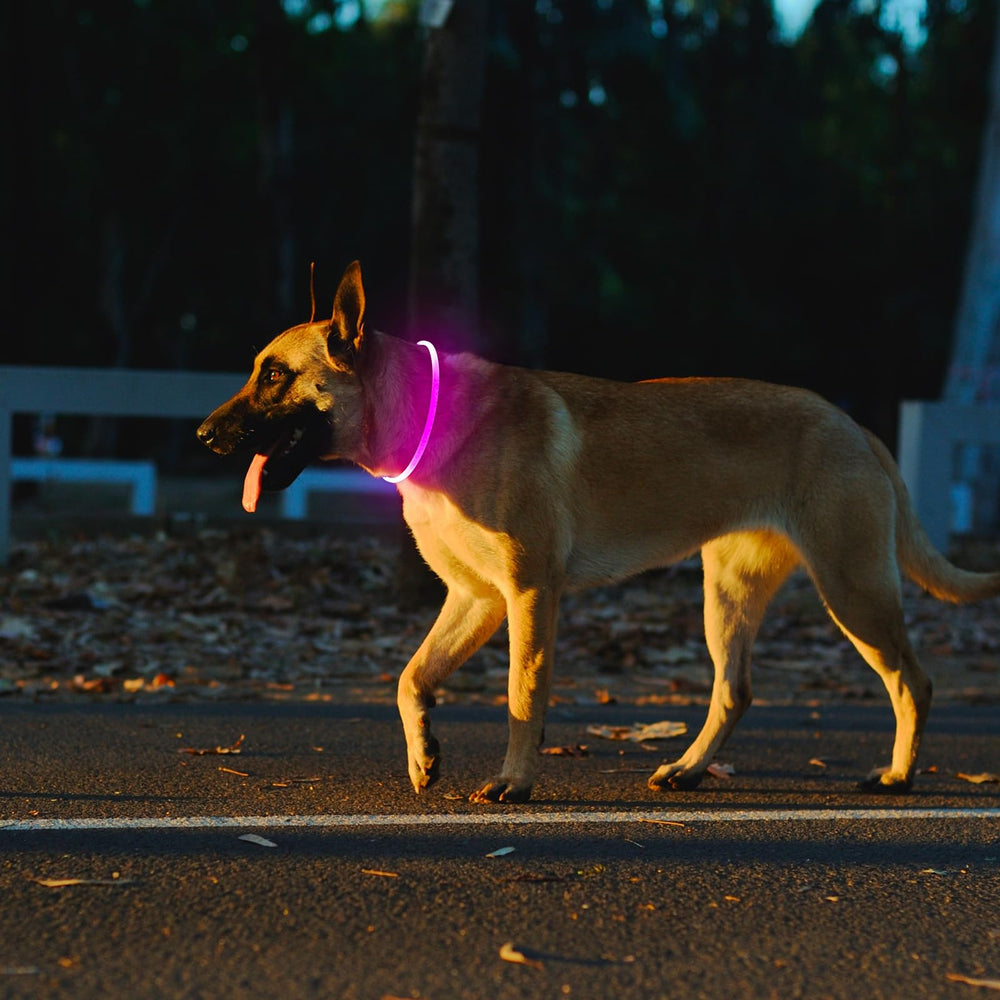 Kpuplol collar LED rojo mejora la visibilidad nocturna.