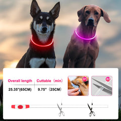 Kpuplol collar LED resistente al agua y al polvo para todo clima.