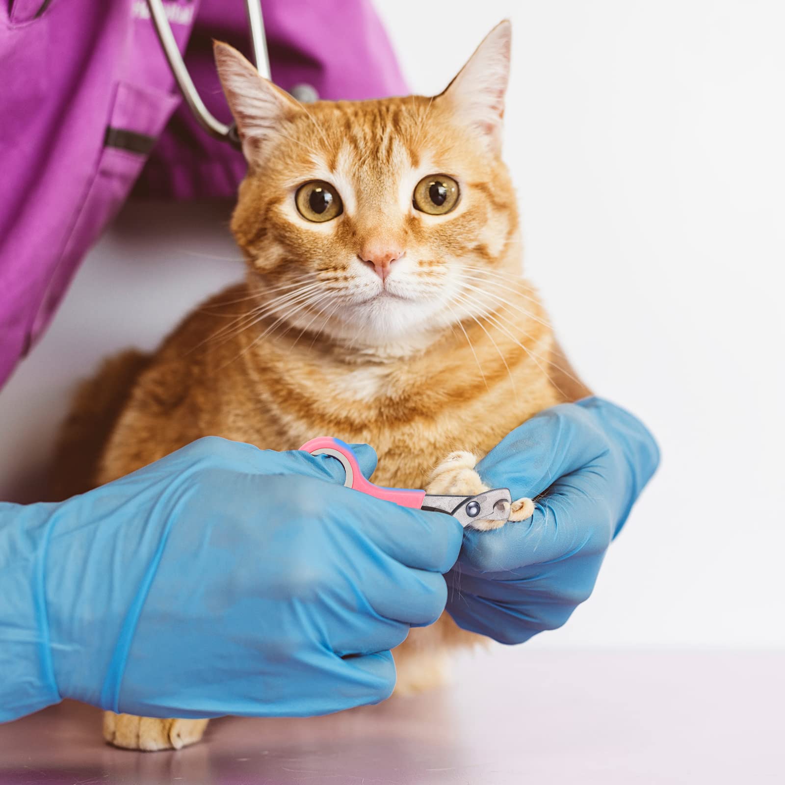 Kritkin: bozal para gatos, ayuda a controlar mordidas durante el aseo.