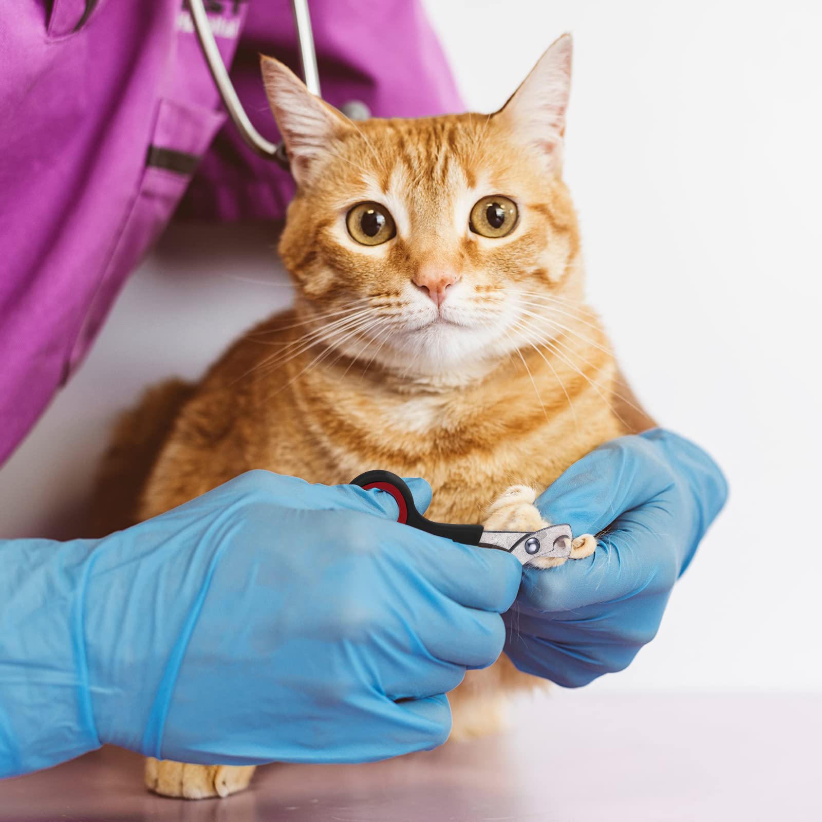 Kritkin set completo para gatos, muestra todos los componentes del kit grooming