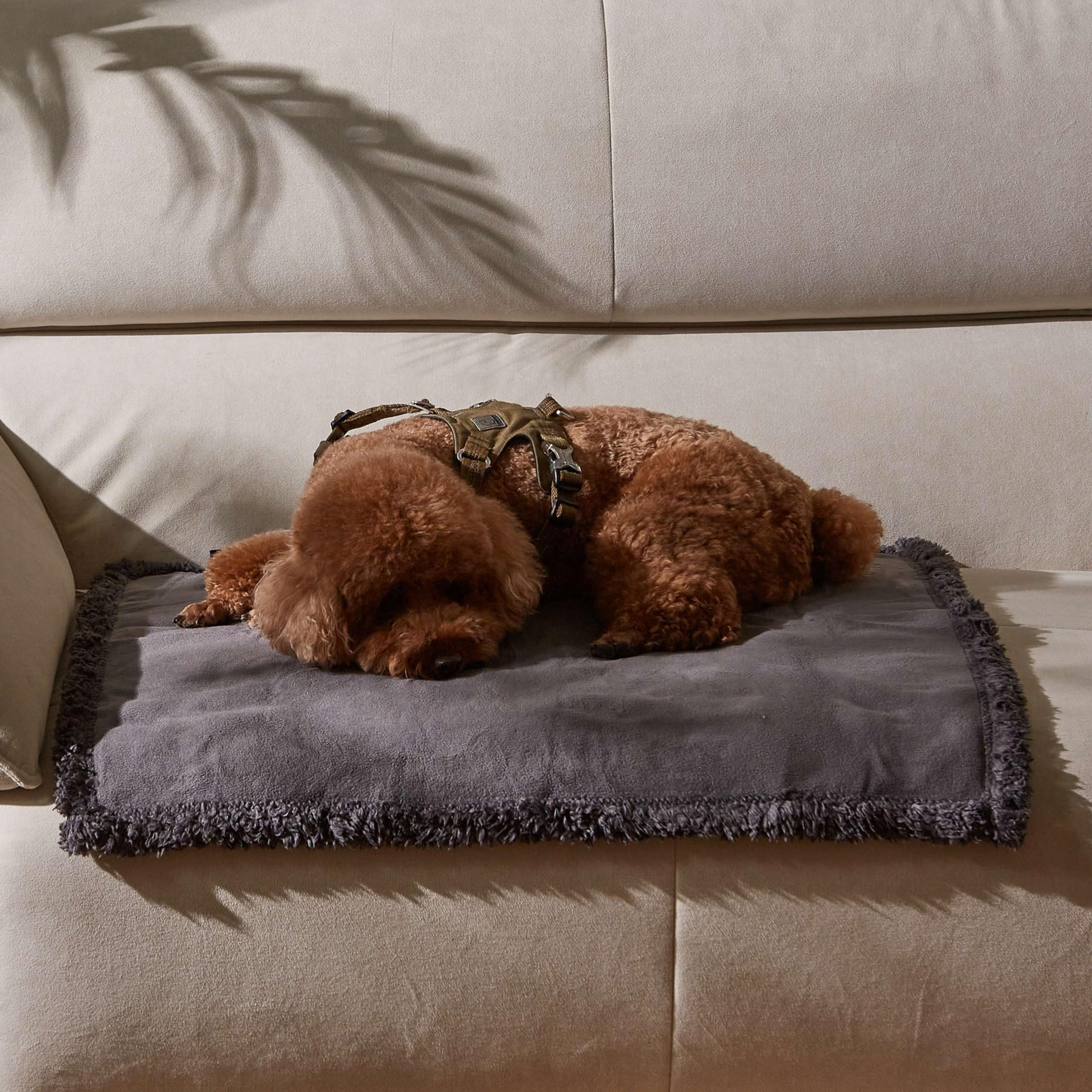 Protección de muebles para coche o casa, ideal para viajes con mascotas.