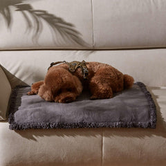 Protección de muebles para coche o casa, ideal para viajes con mascotas.