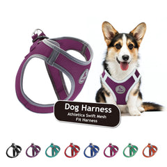 KRUZ PET arnés para perro, pecho ajustable Amatista, ideal para paseos sin tirones