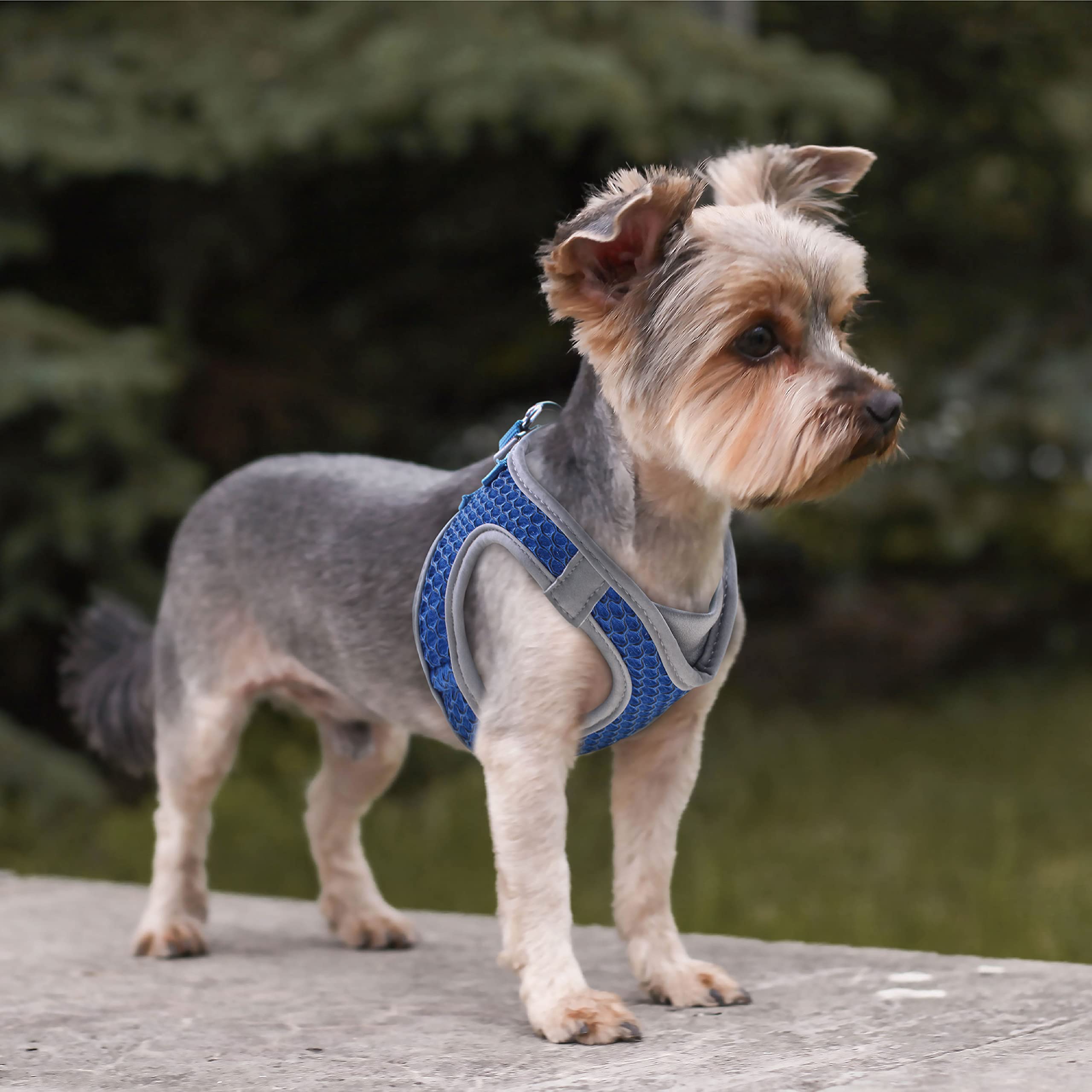 KRUZ PET Athletica: arnés ligero, ideal para entrenamiento diario y paseos.