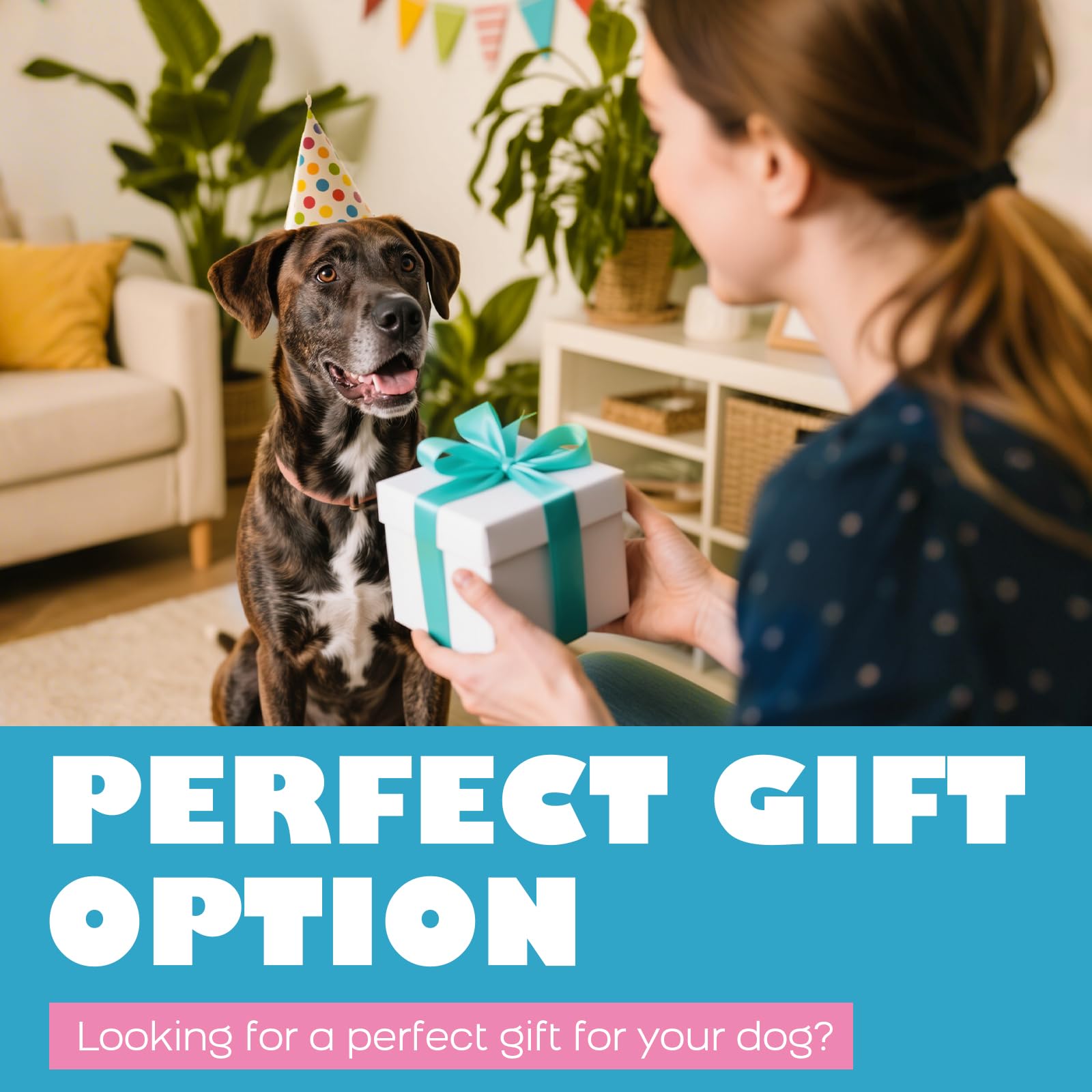Kseroo Regalo ideal para perros, perfecto para cumpleaños.